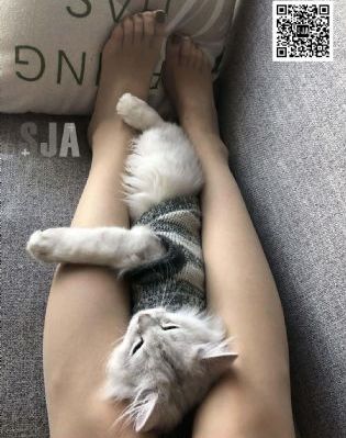 18做爰免费视频网站