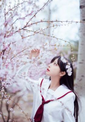 四虎影视app在线观看